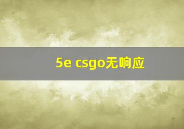 5e csgo无响应